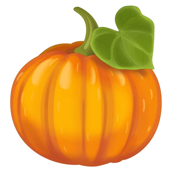 Pumpa — Stockfoto