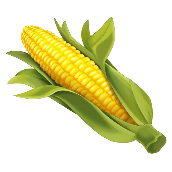 Corncob — Stock Photo, Image