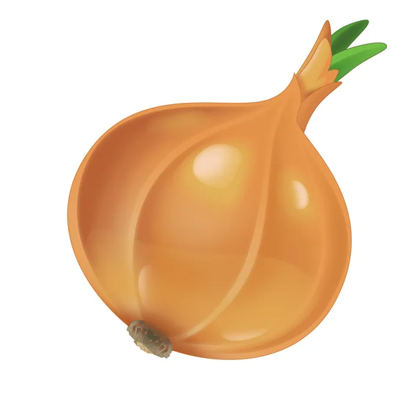 Golden onion — Stock Photo, Image