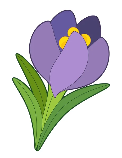 Fiore viola — Foto Stock