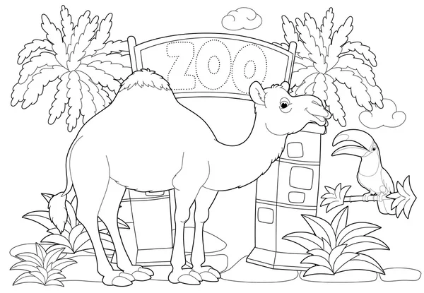 The zoo — Stock Photo, Image