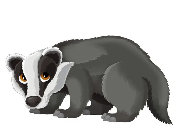 Cartoon badger — Stockfoto