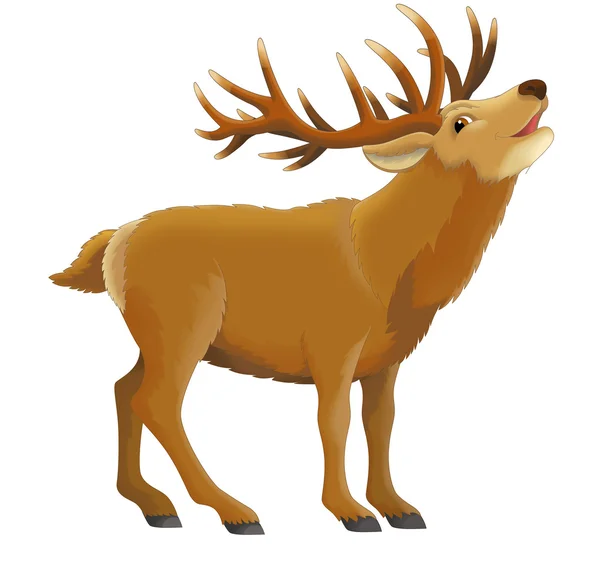 Cartoon deer — Stock Photo, Image