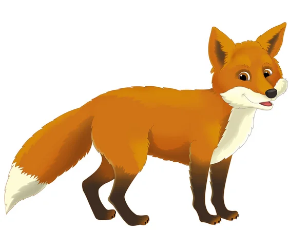 Kreslený liška — Stock fotografie