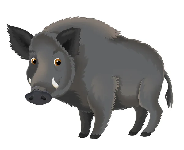 Мультяшная свинья — стоковое фото