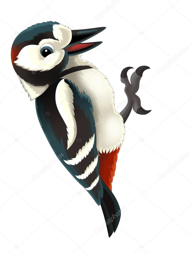 Cartoon woodpecker