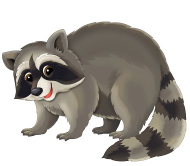 karikatür racoon
