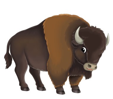 karikatür buffalo boğa