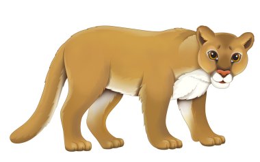karikatür puma