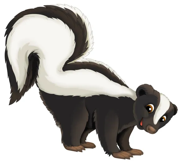 Cartoon skunk — Stockfoto