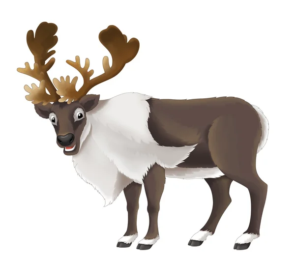 Cartoon deer — Stock Photo, Image