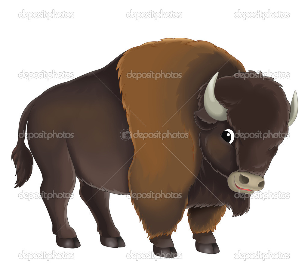 Cartoon buffalo bull