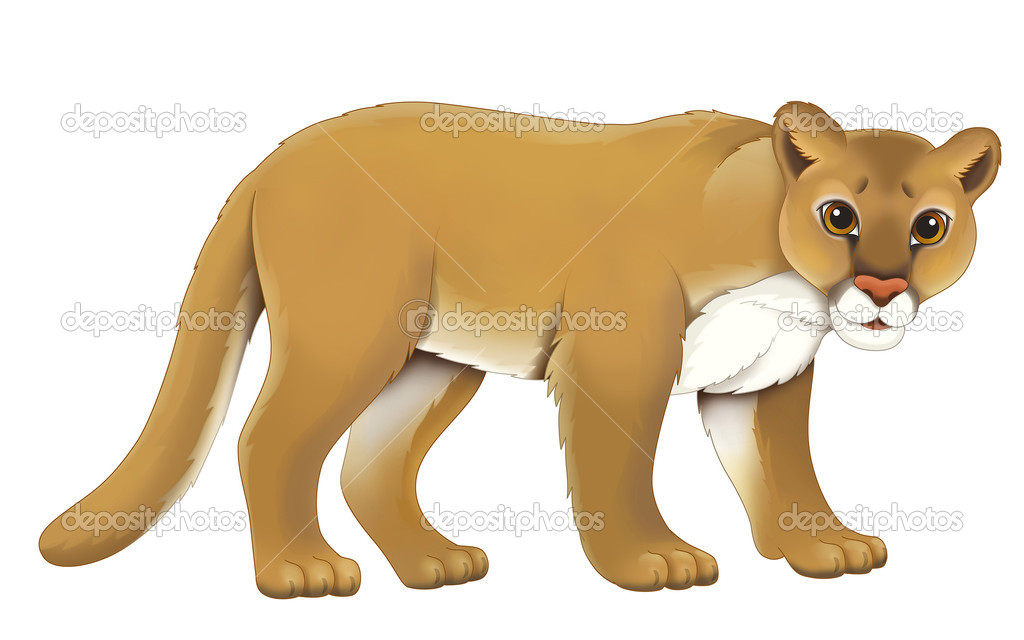 Puma imagen top
