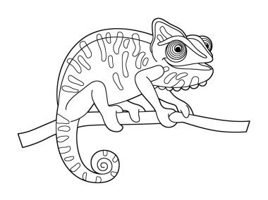 bukalemun