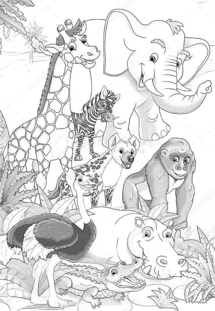 Safari animals
