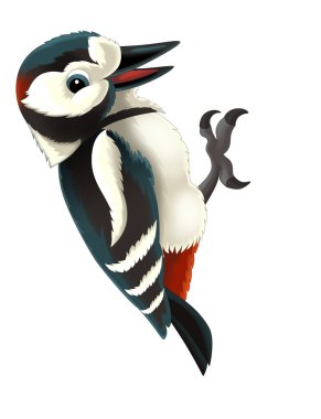 Cartoon woodpecker clipart