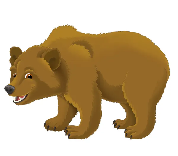 Cartoon bear — Stock Photo, Image