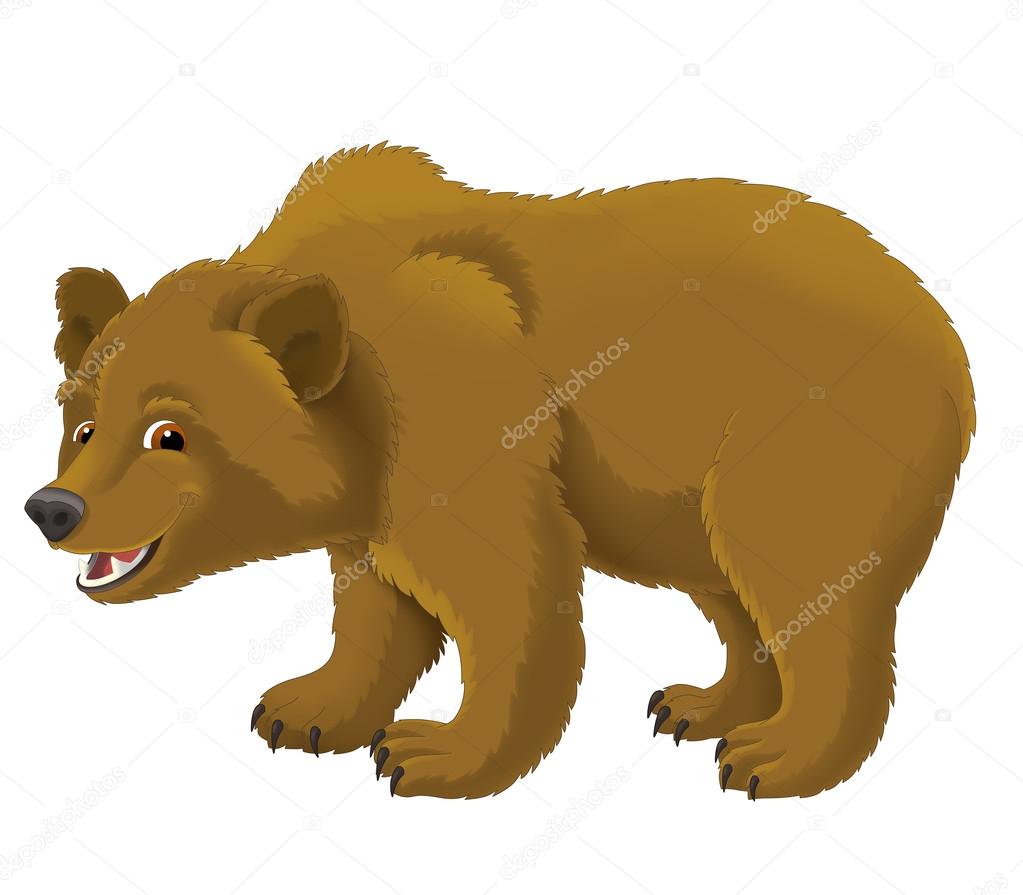 Cartoon bear