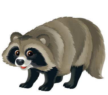 Rakun.