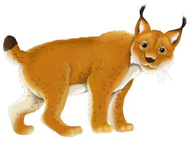 Cartoon lynx clipart