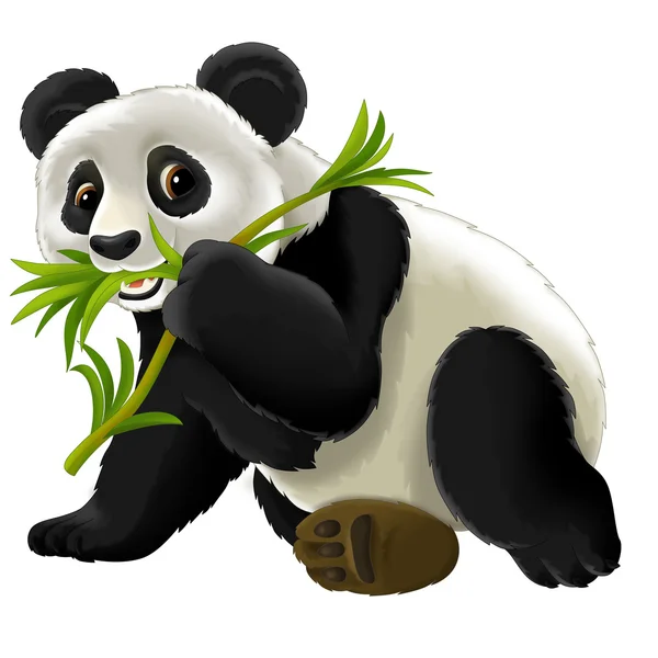 Cartoon panda — Stockfoto