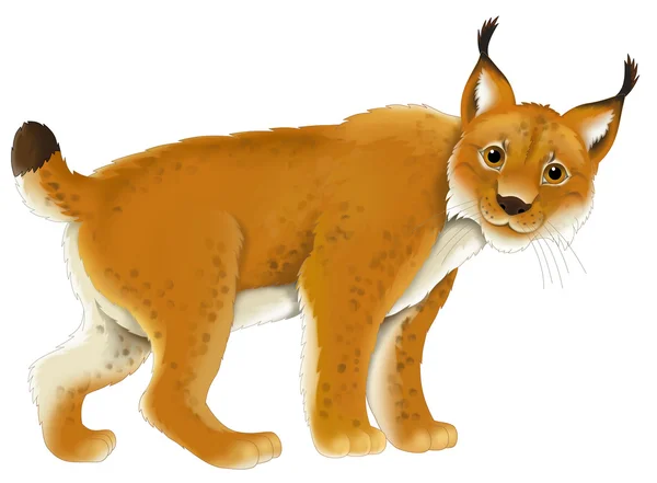 Cartoon lynx — Stock Photo, Image