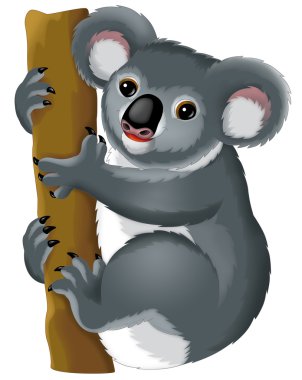 karikatür koala