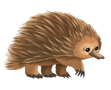 dikenli karıncayiyengiller