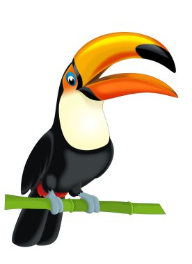 tukan