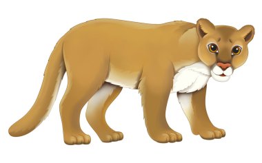 karikatür puma