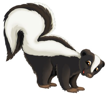 Kokarca.