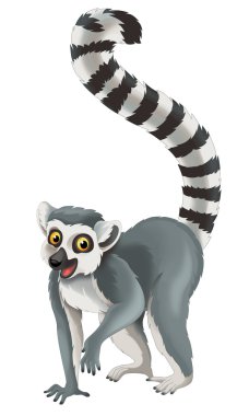 Lemur