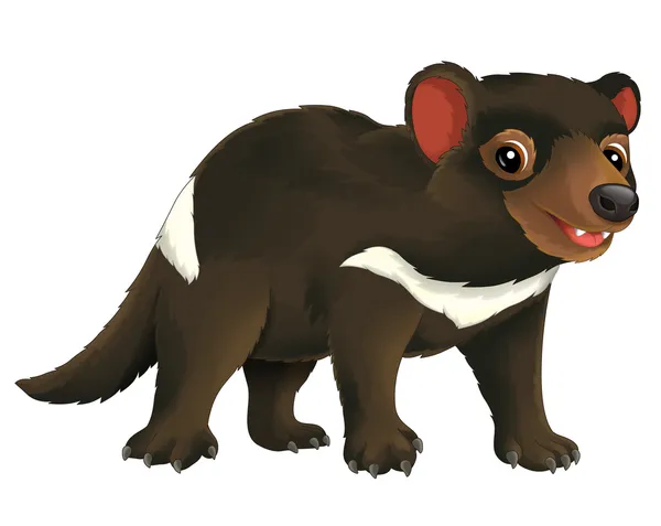 Tasmanian Devil — Stock Photo, Image