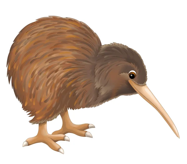 Ptak kiwi — Zdjęcie stockowe