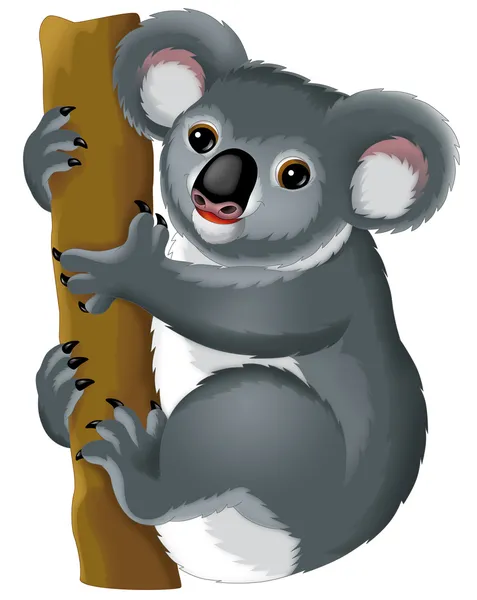 Cartoon koala Stock Photo by ©agaes8080 40613415