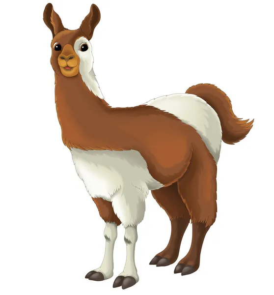 Cartoon lama — Stockfoto