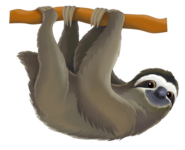 Cartoon sloth — Stock Photo, Image