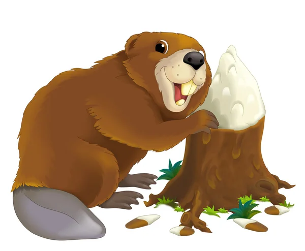 Cartoon beaver — Stock Photo, Image