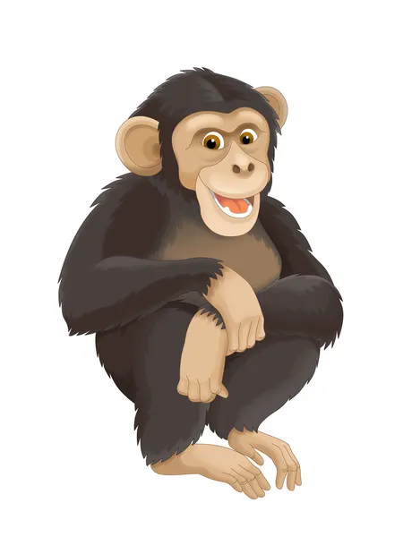 黑猩猩Chimpanzee — 图库照片