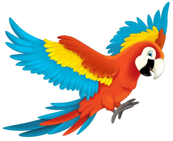 Jungle parrot — Stock Photo, Image