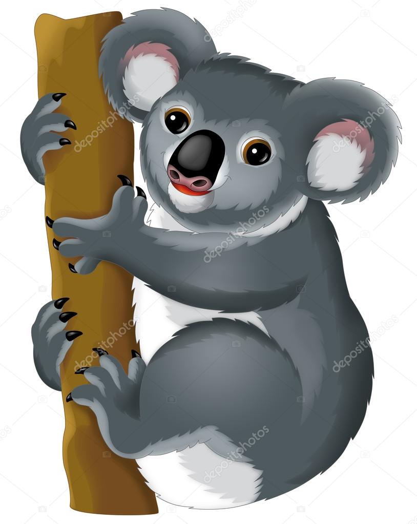Cartoon koala