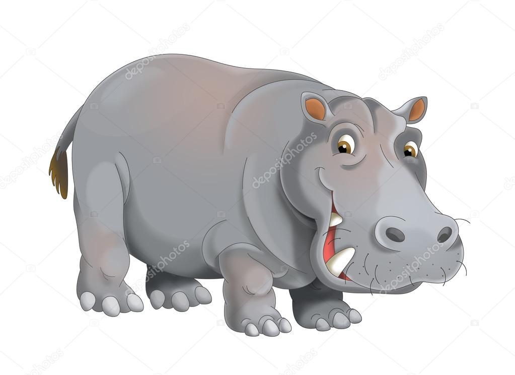 Hippopotame Images Libres De Droit Photos De Hippopotame Depositphotos Hippopotame Images Libres De Droit Photos De Hippopotame Depositphotos