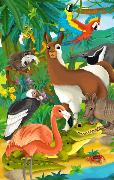 Cartoon jungle — Stockfoto