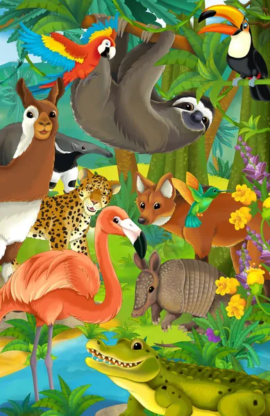Cartoon jungle — Stock Photo, Image