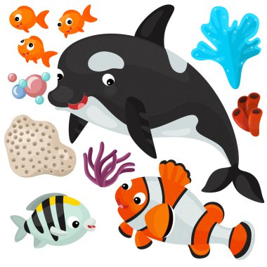 Deniz orca ve hayvanlar
