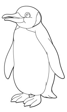 penguen. Arktik hayvan - sayfa boyama