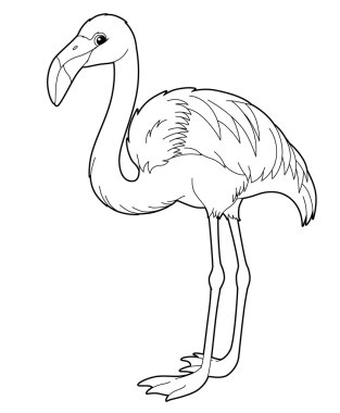 Flamingo. Karikatür hayvan