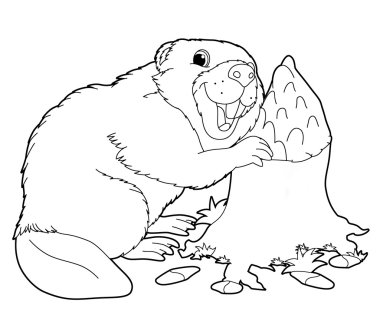 Kunduz. Karikatür hayvan