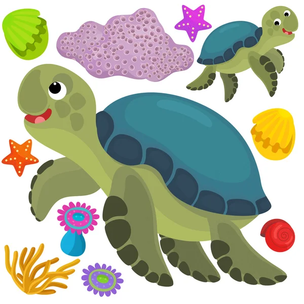 Sea turtle and animals — Stock Photo, Image