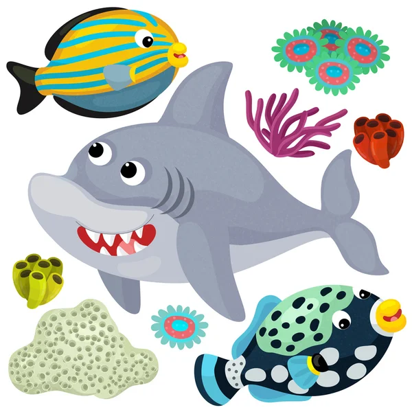 Sea shark and animals — Stock Photo, Image